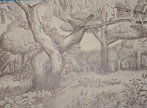 Pencil Drawings